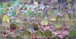 Bluebell wood pet cemetery was established over 40 years ago in east sussex and is an independent, family run business. Hyde Park Pet Cemetery
