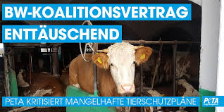 Wer in not geraten ist, der benötigt hilfe. Peta Pressestelle On Twitter Heute Veroffentlichte Die Landesregierung Badenwurttemberg Ihren Koalitionsvertrag Obwohl Die Grunen Als Starkste Kraft Aus Den Landtagswahlen Hervorgingen Sind Im Bereich Tierschutz Kaum Fortschritte Zu Verzeichnen