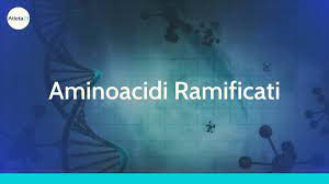 Gli aminoacidi ramificati sono nutrienti che in genere vengono ricavati dalle proteine presenti nel cibo. Aminoacidi Ramificati Atleta24