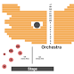 One Night of Queen