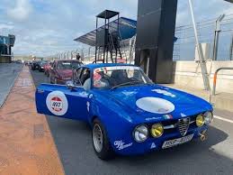 Image result for Blue Zagoto 1970 Alfa-Romeo