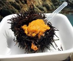 まさに至極の味 旬を迎えた ウニ グルメ11選 絶品すぎる生ウニ丼も 東北 2018 じゃらんニュース