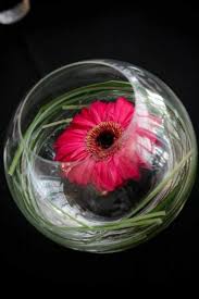 blumendeko fur hochzeit 33 hinreissende ideen fur schwimmende bluten pink wedding flowers table diy wedding flower centerpieces diy wedding flowers