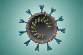 However, for some of these vaccines, cell animal products used to make vaccines. Rna Vaccines Are Coronavirus Frontrunners Business Chemistry World
