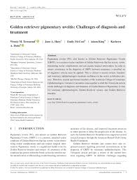 The owners of starfire golden retrievers are maria and paul franklin. Pdf Golden Retriever Pigmentary Uveitis Challenges Of Diagnosis And Treatment