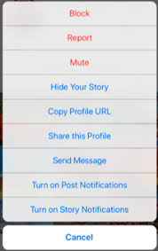 There is a small downside: How To Mute Someone On Instagram Jumper Media