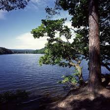 Im waldfreibad an der steinbachtalsperre hat am samstag die badesaison begonnen. Seen Talsperren Kreis Euskirchen