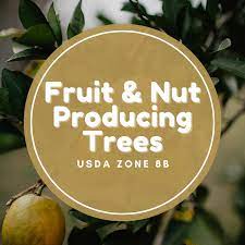 I've put together this list for those interested in beginning to research an orchard or fruit tree grove. Fruit And Nut Producing Trees For Usda Hardiness Zone 8b Dengarden