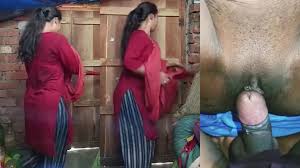 Tamil Sex Videos Porn Videos: XXX 2025, 8 | xHamster