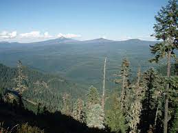 Forest service and bureau of land management (blm), contain immeasurable value, providing clean water and air for downstream communities plus cultural significance and first foods to the region's tribes, sequestering carbon, and serving as important habitat for the region's distinctive biodiversity. Carbon Stored In Pacific Northwest Forests Reflects Timber Harvest History