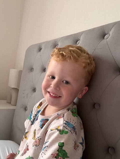 Noah Woods, 3, was found caught in tree roots by lake divers after leaving play area through gap in fence, inquest hears