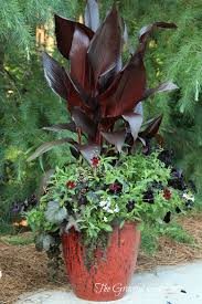 Img 2948 2 Jpg 1 448 2 172 Pixels Container Gardening Garden Containers Diy Container Gardening