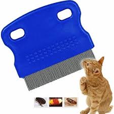 Welfare Kedi Kopek Bit Ve Pire Taragi Fiyati Taksit Secenekleri