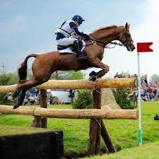 She runs laura collett eventing out of penhill farm in cheltenham, england. Laura Collett Colletteventing Twitter