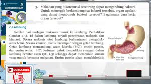 16 ipa kls 8 kunci jawaban evaluasi. Jawaban Uji Kompetensi Bab 4 Sistem Percernaan Manusia Ipa Kelas 8 Youtube