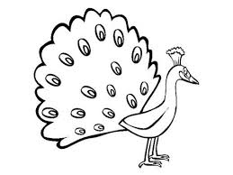 Menggambar dan mewarnai ayam menggambar ayam adalah binatang yang sering dipelihara di. Dapatkan Pelbagai Contoh Gambar Ayam Yang Menarik Dan Boleh Di Muat Turun Dengan Segera Gambar Mewarna