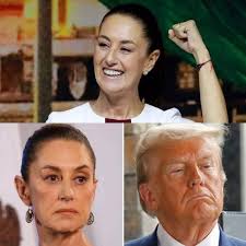 Memes Universitarios LS