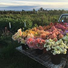 Pin On Wedding Ideas
