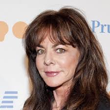 Watch Live TV, Movies, and TV Shows Free Online