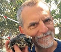 RENOWNED VETERINARIAN DOUG MADER DISCUSSES GLOBAL WARMING EFFECTS ON SEA  TURTLES