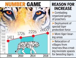 Apart from this, it also reached the milestone of $1 billion worldwide. Has The Tiger Population Risen By 20 To Cross 2 600 Nagpur News Times Of India