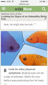 May 22, 2019 · types of betta fish. 3 2 Ways To Tell If You Beta Fish Is Sick Look For Bulging Eyes Spiky Scales Gills That Will Not Retract All The Way White S Fish Plants Bulging Eyes Fish