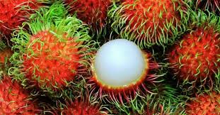 Pin On Frutas Exoticas Del Mundo