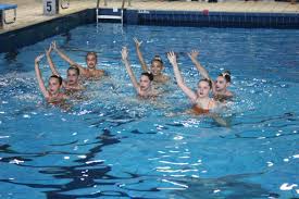 Vaires Sur Marne Recherche Entraineur De Natation Synchronisee La Marne