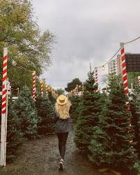 We are celebrating 30 years and have grown into the south's largest christmas shopping village, located in the foothills of the smoky mountains. 7 Best Christmas Tree Lots In The San Francisco Bay Area 7x7 Bay Area