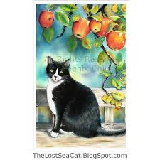 Black And White Tuxedo Cat Clipart Tuxedo Cat Art Luggage Tag Black And White Tuxedo Cat Art