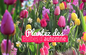 Ces légumes anciens feront votre régal ! 20 Bulbes D Automne A Planter Au Jardin Avec Jaime Jardiner Com