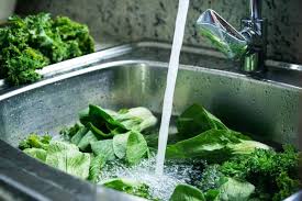 6 Ways To Store Bok Choy So It Lasts Longer Home Stratosphere