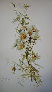 C1894 Catherine Klein Illustrated The Year Book Of American Authors Ida Scott Taylor Language Poetry Of Flowers 12 F Catherine Klein Flower Art Flower Painting