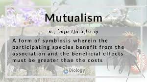 Mutualism in the largest biology dictionary online. Mutualism Definition And Examples Biology Online Dictionary