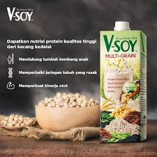 Nes v cocok untuk ibu menyusui. Vsoy Kotak Kecil Cooknays Com