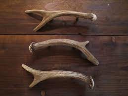 4.5 out of 5 stars. Whole Deer Antler Handle For Cabinet Doors By Antlerartisans Deer Antler Decor Deer Antlers Antlers