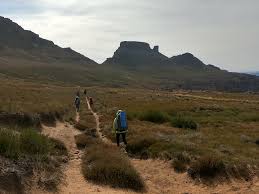 Den tafelberg verbindet man mit sollte die seilbahn einmal nicht fahren, solltet ihr trotzdem die tafelberg rd hoch fahren und euch. Tafelberg South Africa Peakery