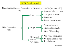 Blood Urea Nitrogen Creatinine Ratio Bun Creatinine Ratio Labpedia Net