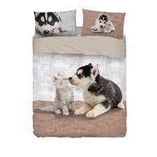 We did not find results for: Completo Lenzuola Matrimoniale My Friends Bassetti Con Husky E Gattino