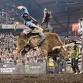 PBR: Unleash the Beast