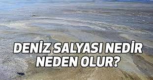 Deniz ortamında yaşayan mikroorganizmaların aşırı artış göstererek ortama salgıladıkları organik bileşikler sonucu oluşur. 7gznqvewoepcum
