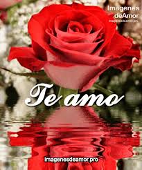 11 Imagenes De Rosas Gif Para Expresar Tus Sentimientos Imagenes De Amor Mejores Imagenes De Amor Rosas Gif