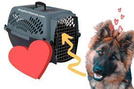 7 Easy Ways To Potty Train A German Shepherd Puppy Faster Shepherd Sense