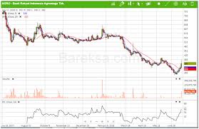 Kepada pemegang saham/ syer bank rakyat yang berhajat menjual saham bank rakyat boleh menghubungi tn hj muhd 0i9 577 5943 (sekitar perak) atau kuala lumpur: Saham Agro Melonjak Dekati Harga Rights Issue