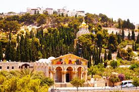 Israel The Mount Of Olives Travel Management Mount Olivet Event Management Company