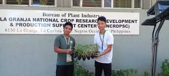 🌱 Grateful to BPI for the generous seedling donation! Thanks to BPI  Manager Doris Paz I. Discaya, La Granja Farm School is gearing up for the  Regional Expo in May 2024. This