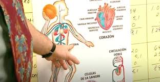 Food guide pyramid introduction 1. Spanish Food Facts And Stories Annenberg Learner