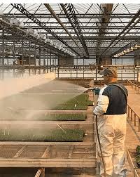 Contact the science mooc coordinator at scimooc@ualberta.ca or via the linked email address below. Pests And Procedures Greenhouse Management