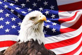 Free usa flag wallpapers and usa flag backgrounds for your computer desktop. Hd Wallpaper Bald Eagle And American Flag U S A Flag Bird Symbol Patriotic Wallpaper Flare