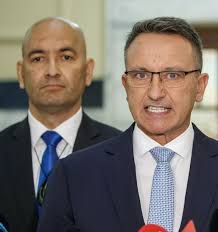 National MP David MacLeod and a Parliament full of conflicts of interest